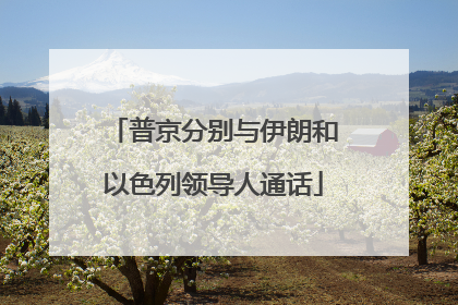 普京分别与伊朗和以色列领导人通话