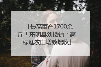 最高亩产1700余斤！东明县刘楼镇：高标准农田增效增收
