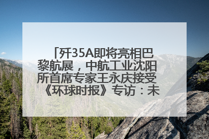 歼35A即将亮相巴黎航展，中航工业沈阳所首席专家王永庆接受《环球时报》专访：未来数量可以有很多