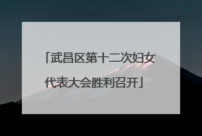 武昌区第十二次妇女代表大会胜利召开