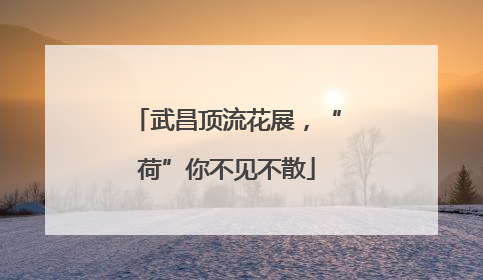 武昌顶流花展，“荷”你不见不散