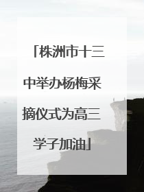 株洲市十三中举办杨梅采摘仪式为高三学子加油