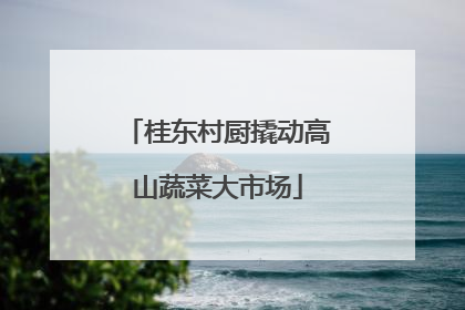 桂东村厨撬动高山蔬菜大市场