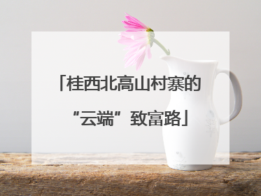 桂西北高山村寨的“云端”致富路