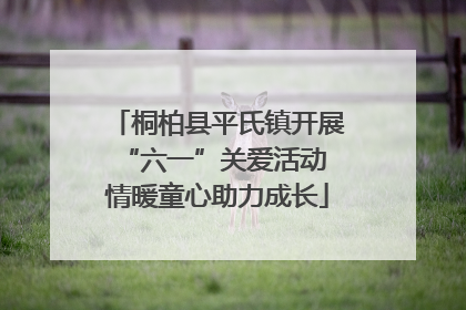 桐柏县平氏镇开展“六一”关爱活动 情暖童心助力成长