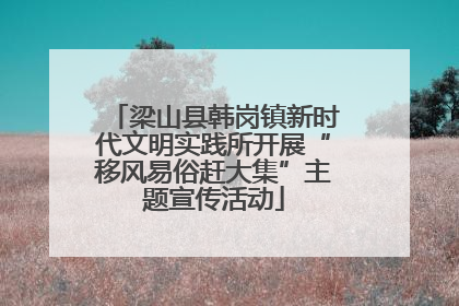 梁山县韩岗镇新时代文明实践所开展“移风易俗赶大集”主题宣传活动