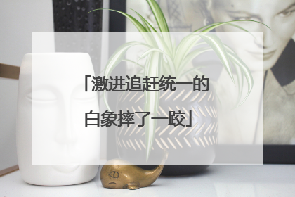 激进追赶统一的白象摔了一跤