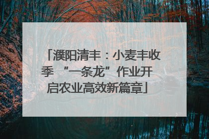 濮阳清丰：小麦丰收季 “一条龙”作业开启农业高效新篇章