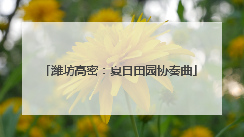 潍坊高密：夏日田园协奏曲