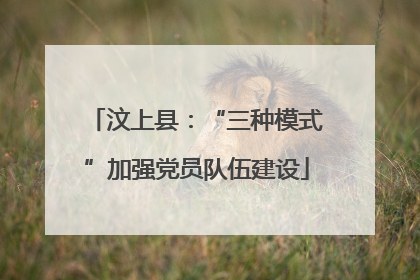 汶上县：“三种模式”加强党员队伍建设