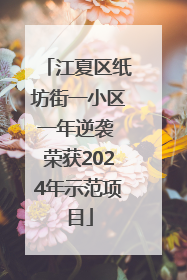 江夏区纸坊街一小区一年逆袭 荣获2024年示范项目
