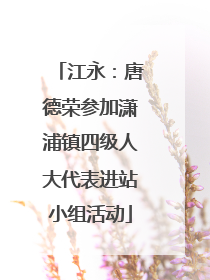 江永：唐德荣参加潇浦镇四级人大代表进站小组活动