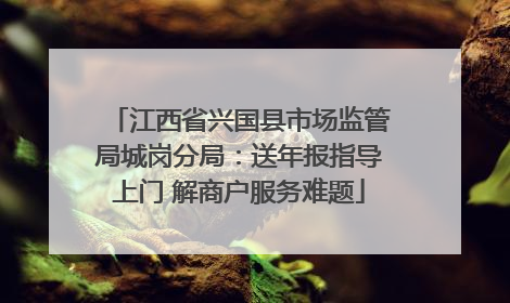 江西省兴国县市场监管局城岗分局：送年报指导上门 解商户服务难题