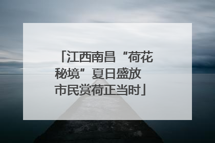 江西南昌“荷花秘境”夏日盛放 市民赏荷正当时