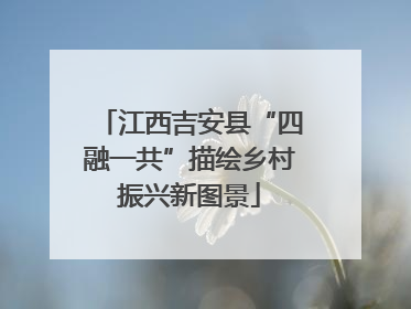 江西吉安县“四融一共”描绘乡村振兴新图景