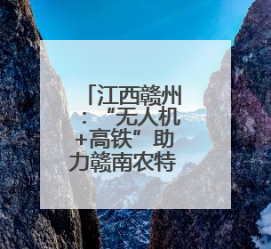 江西赣州：“无人机+高铁”助力赣南农特产“飞”出大山