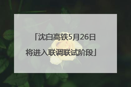 沈白高铁5月26日将进入联调联试阶段
