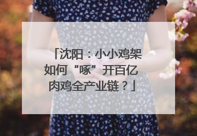 沈阳：小小鸡架如何“啄”开百亿肉鸡全产业链？