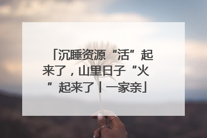 沉睡资源“活”起来了，山里日子“火”起来了丨一家亲