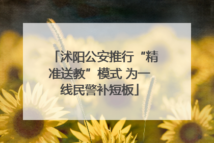 沭阳公安推行“精准送教”模式 为一线民警补短板