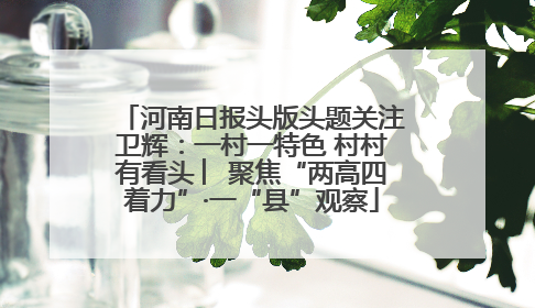 河南日报头版头题关注卫辉：一村一特色 村村有看头 ︳聚焦“两高四着力”·一“县”观察