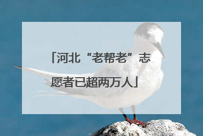 河北“老帮老”志愿者已超两万人