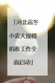 河北省冬小麦大规模机收工作全面启动