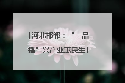 河北邯郸：“一品一播”兴产业惠民生