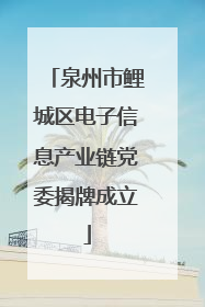 泉州市鲤城区电子信息产业链党委揭牌成立
