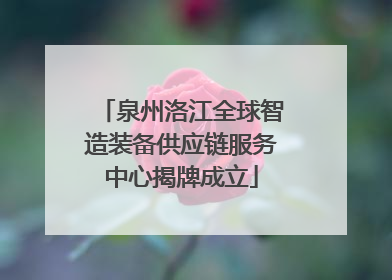 泉州洛江全球智造装备供应链服务中心揭牌成立
