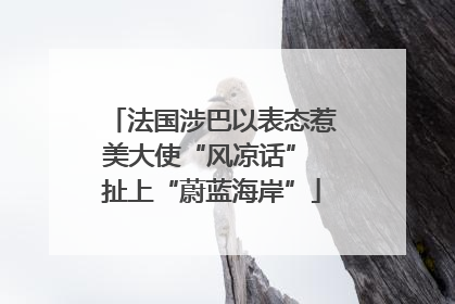 法国涉巴以表态惹美大使“风凉话” 扯上“蔚蓝海岸”