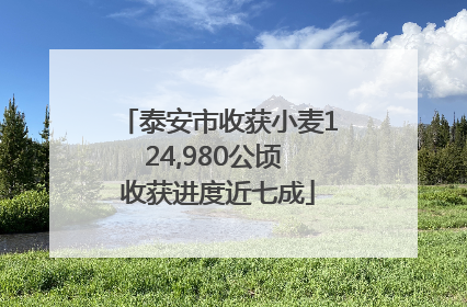 泰安市收获小麦124,980公顷 收获进度近七成
