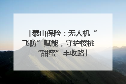 泰山保险：无人机“飞防”赋能，守护樱桃“甜蜜”丰收路