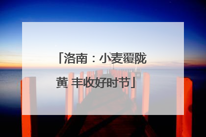 洛南：小麦覆陇黄 丰收好时节