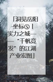 洞见岳阳·坐标⑤丨实力之城——“千帆竞发”的江湖产业宏图