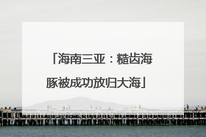 海南三亚：糙齿海豚被成功放归大海