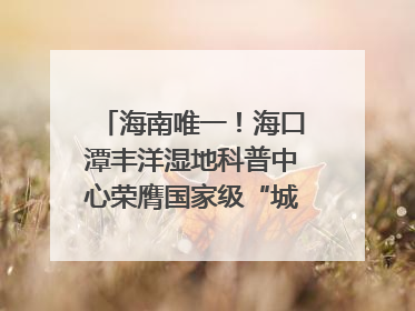 海南唯一！海口潭丰洋湿地科普中心荣膺国家级“城市儿童友好空间建设园区”称号