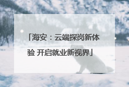 海安：云端探岗新体验 开启就业新视界