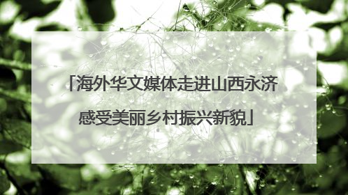 海外华文媒体走进山西永济 感受美丽乡村振兴新貌