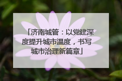 济南城管：以党建深度提升城市温度，书写城市治理新篇章
