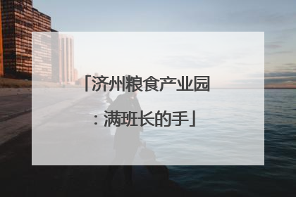 济州粮食产业园：满班长的手