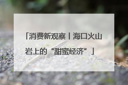 消费新观察丨海口火山岩上的“甜蜜经济”