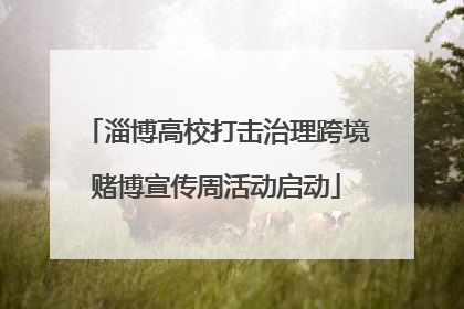 淄博高校打击治理跨境赌博宣传周活动启动