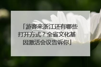 游客来浙江还有哪些打开方式？全省文化基因激活会议告诉你