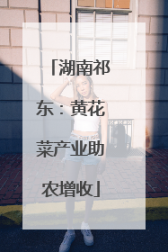 湖南祁东：黄花菜产业助农增收