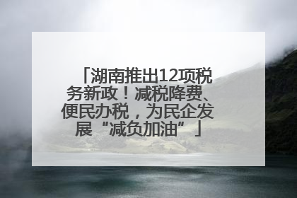 湖南推出12项税务新政！减税降费、便民办税，为民企发展“减负加油”