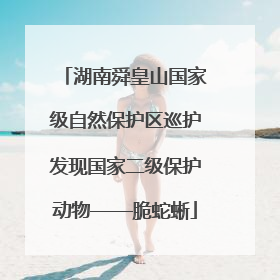 湖南舜皇山国家级自然保护区巡护发现国家二级保护动物——脆蛇蜥