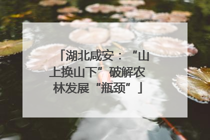 湖北咸安：“山上换山下”破解农林发展“瓶颈”