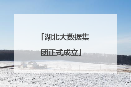 湖北大数据集团正式成立