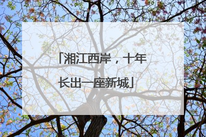 湘江西岸，十年长出一座新城